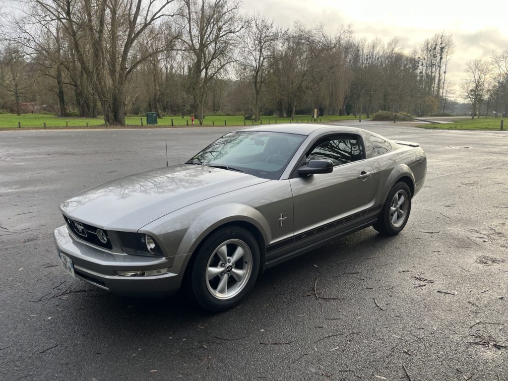 mustanggrise