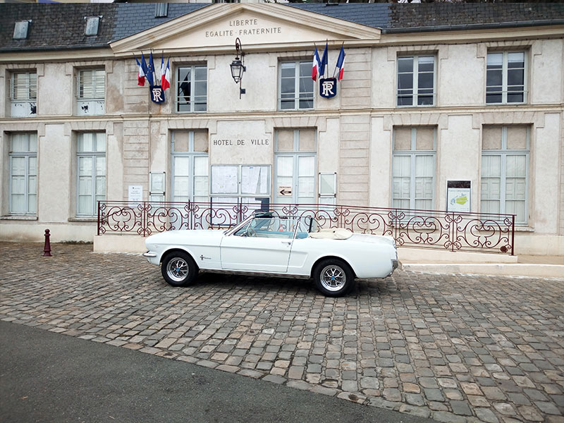 mustang